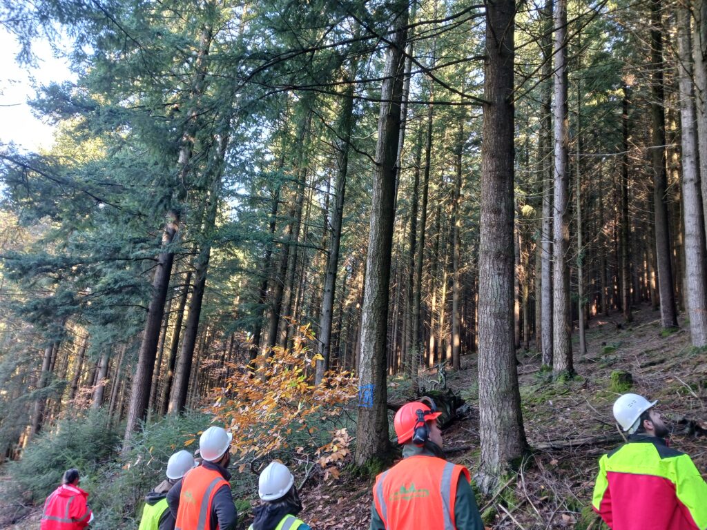 Audit externe au Beuvray